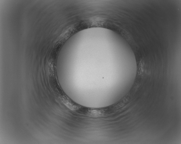 X0000076310522200610201616