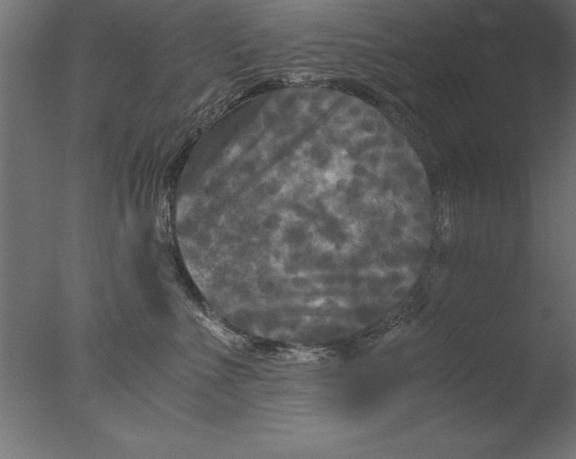 X0000076310523200610201616