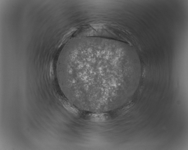 X0000076310524200610201616