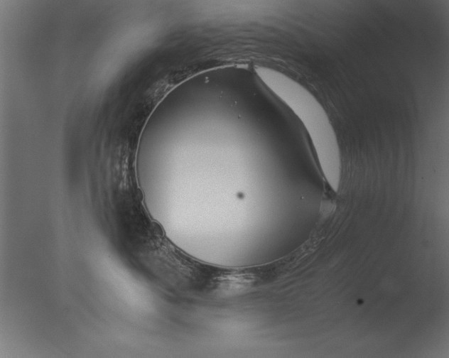 X0000076310525200610201616