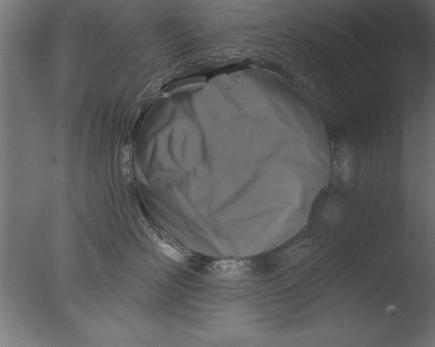 X0000076310526200610201616