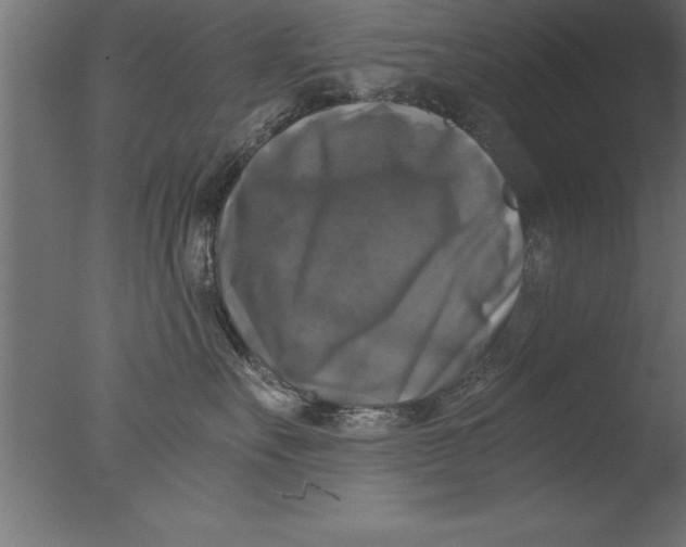 X0000076310527200610201616