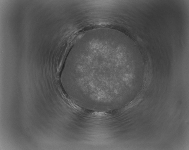 X0000076310528200610201616