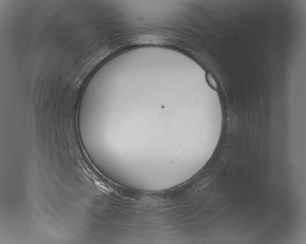 X0000076310529200610201615