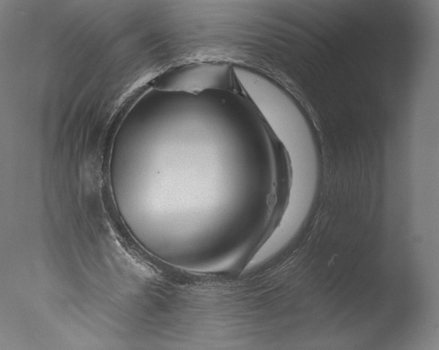 X0000076310530200610201615