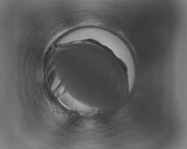 X0000076310531200610201615