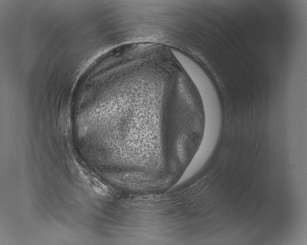 X0000076310532200610201615