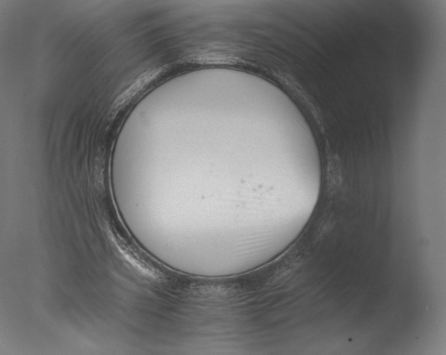 X0000076310533200610201615