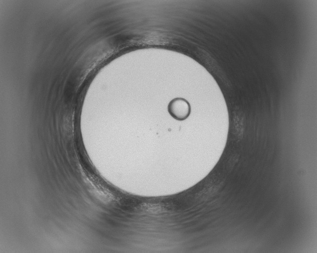 X0000076310534200610201615