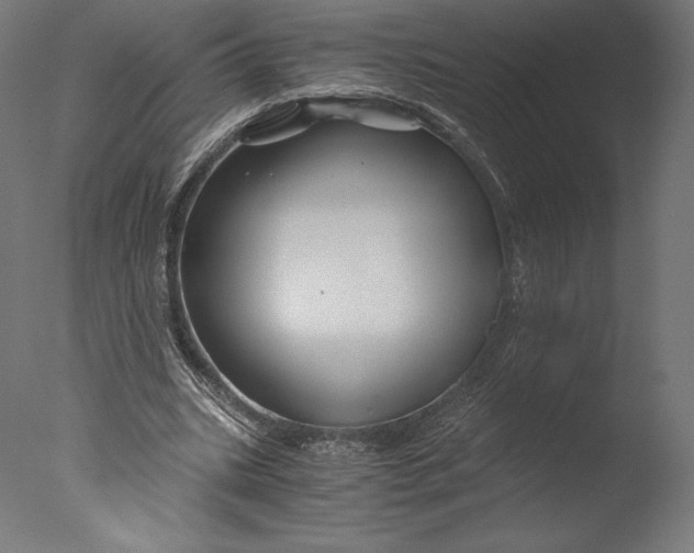 X0000076310535200610201615