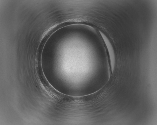 X0000076310536200610201615