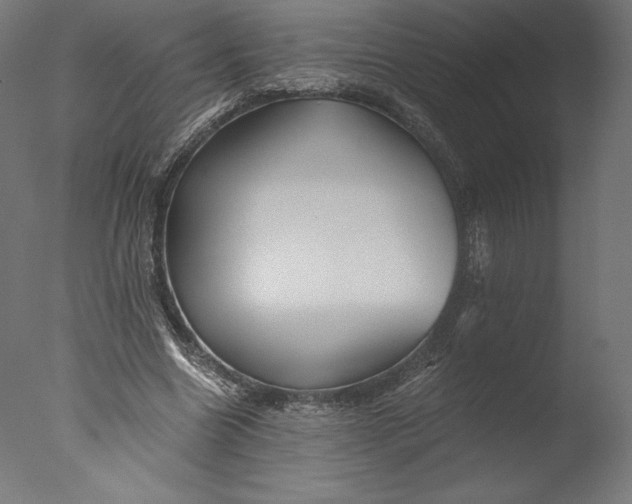 X0000076310538200610201615