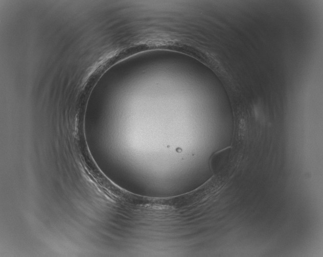 X0000076310539200610201615