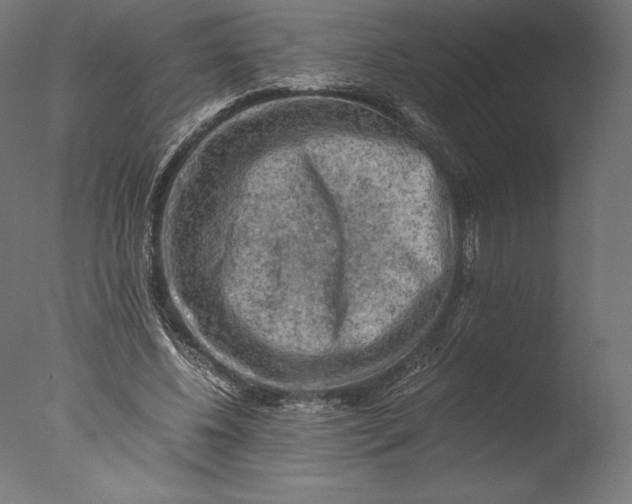 X0000076310540200610201615