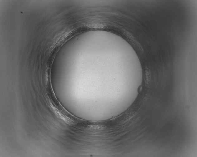 X0000076310541200610201615