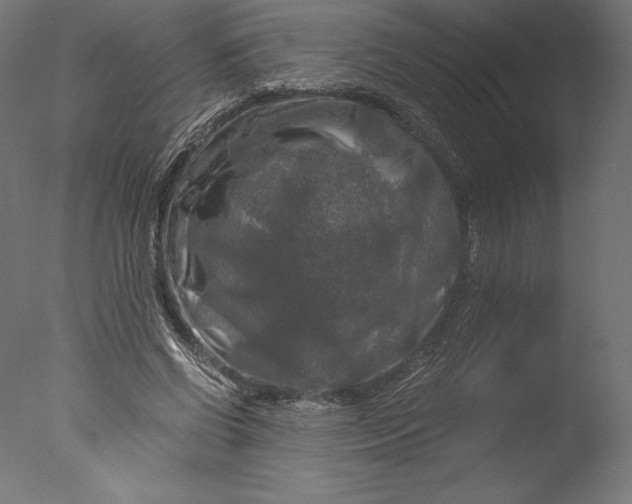 X0000076310542200610201615