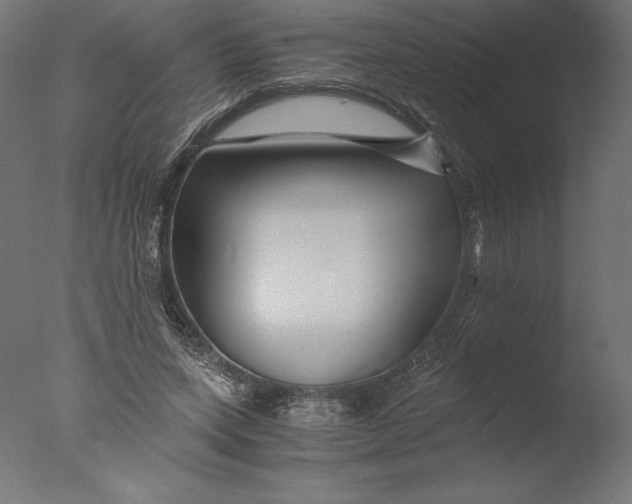 X0000076310543200610201615