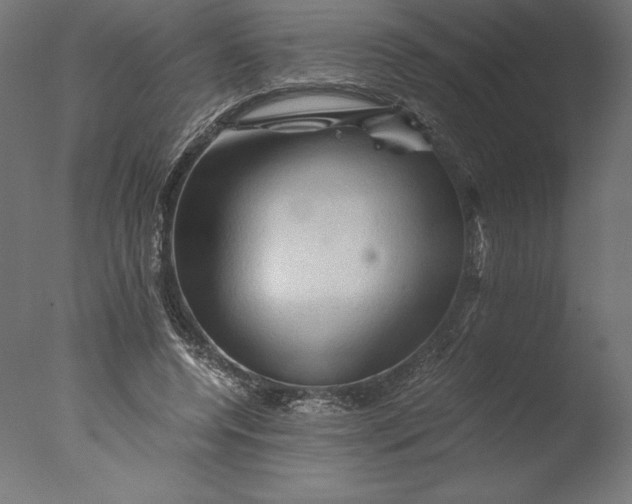 X0000076310544200610201615