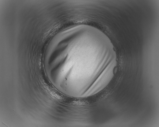 X0000076310545200610201615