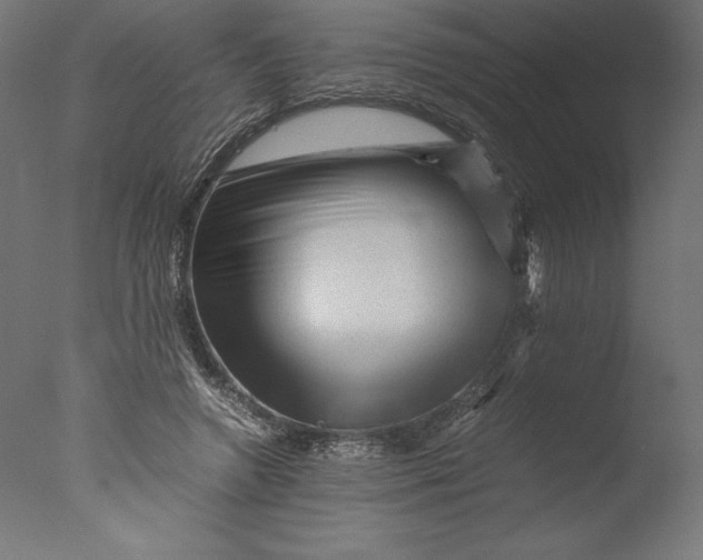 X0000076310546200610201615