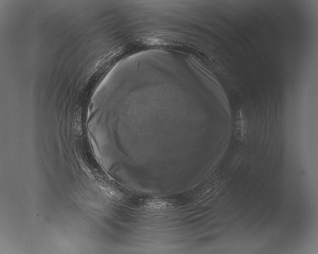 X0000076310547200610201615