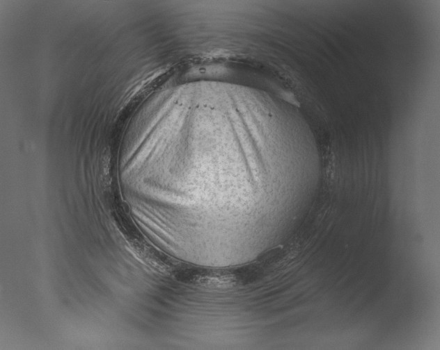 X0000076310548200610201615