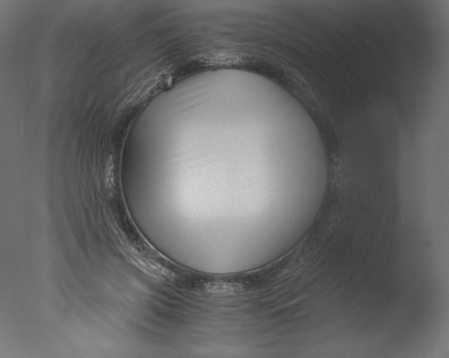 X0000076310549200610201615