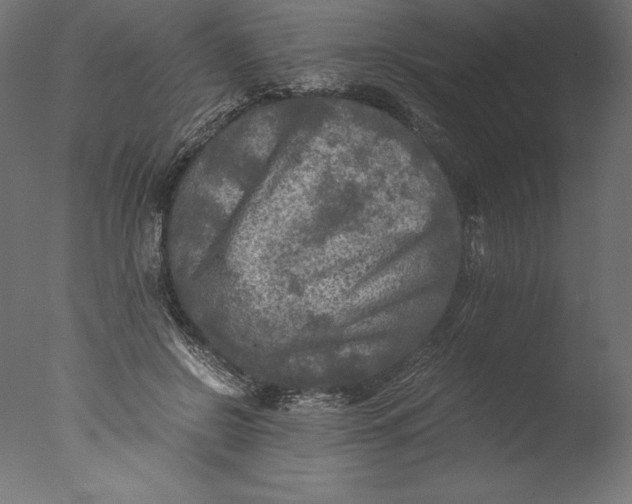 X0000076310550200610201615