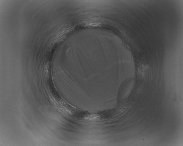 X0000076310551200610201615