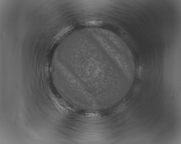 X0000076310552200610201615