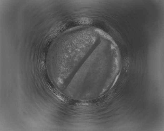 X0000076310553200610201615