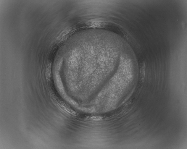 X0000076310554200610201615