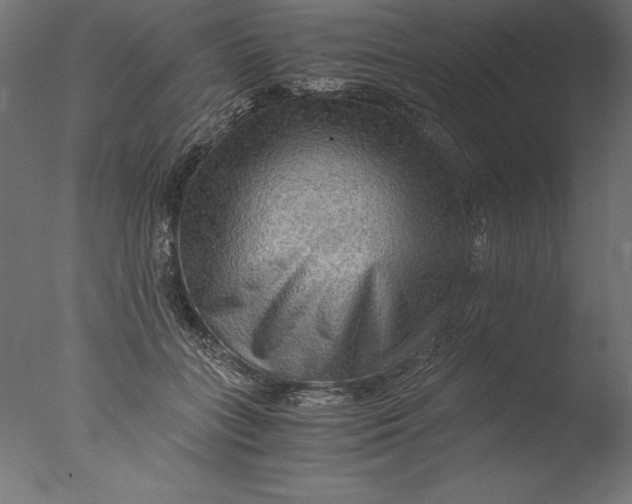 X0000076310555200610201615