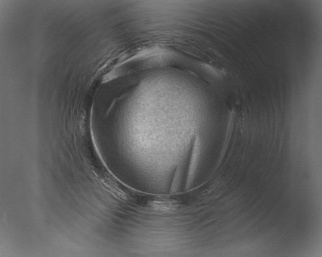 X0000076310556200610201615