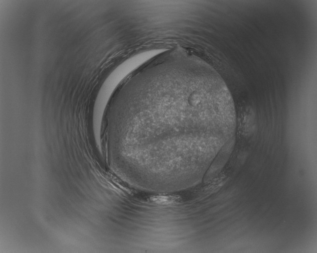 X0000076310558200610201615