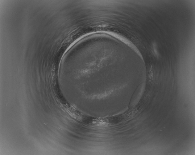 X0000076310559200610201615