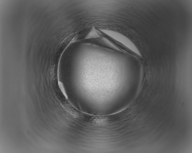 X0000076310560200610201615