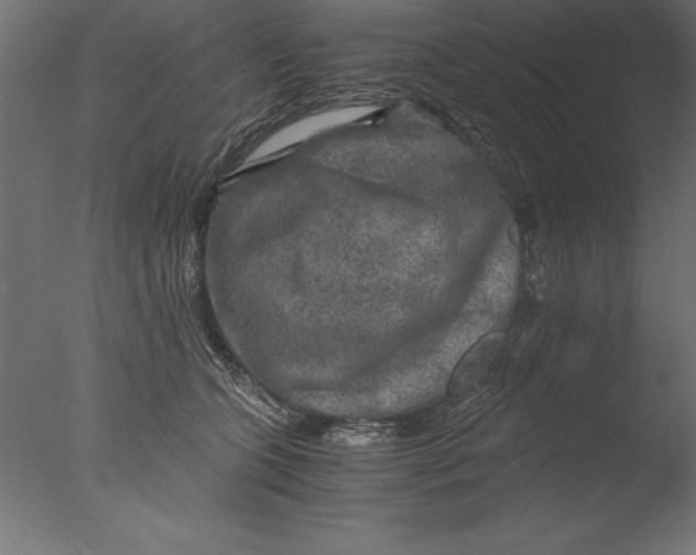 X0000076310563200610201615