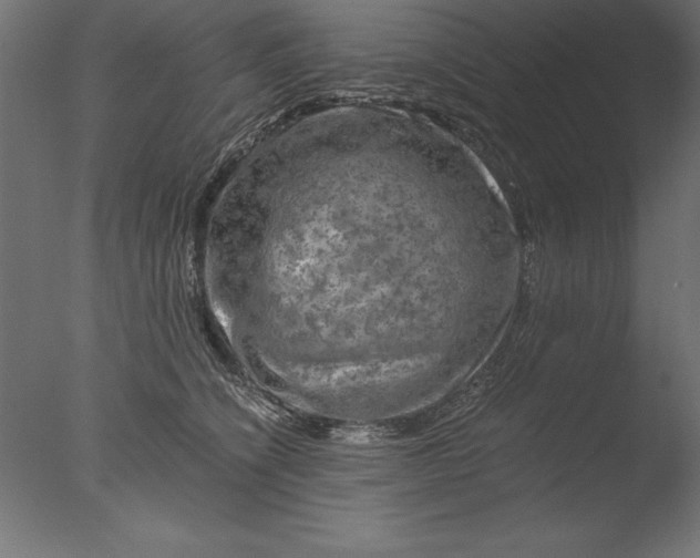 X0000076310564200610201615