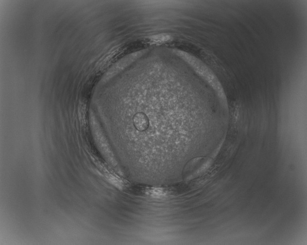 X0000076310565200610201615