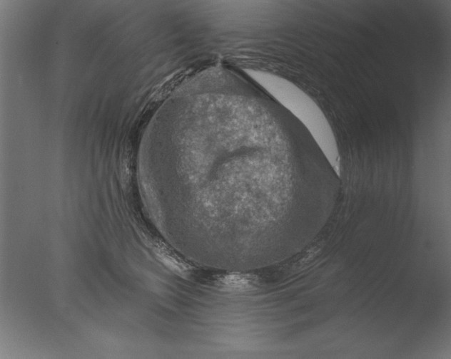 X0000076310566200610201616