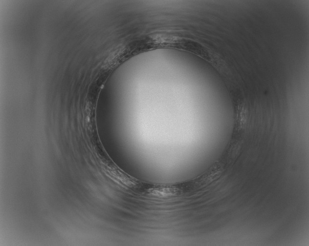 X0000076310567200610201616