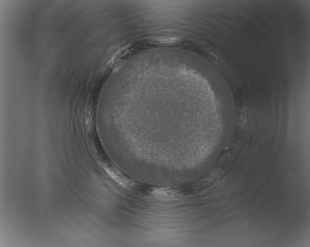 X0000076310568200610201616