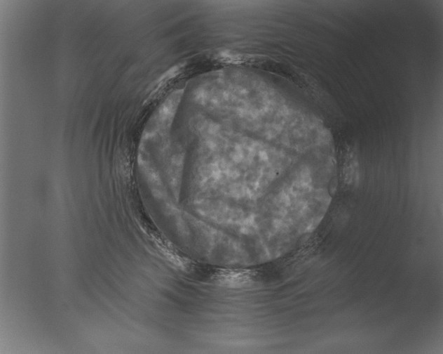 X0000076310569200610201616