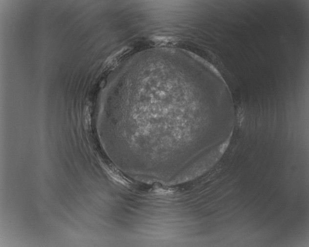 X0000076310570200610201616