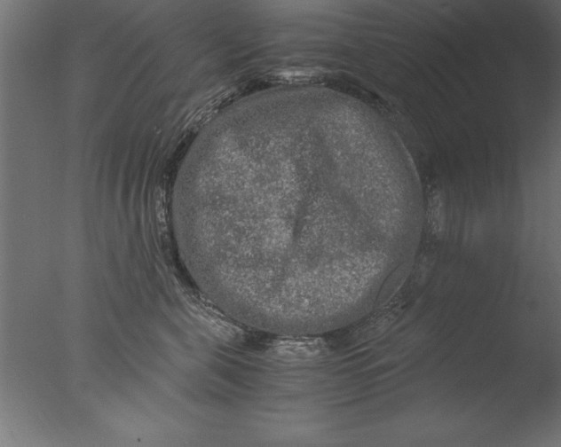 X0000076310571200610201616