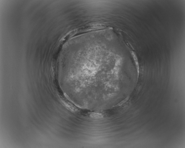 X0000076310572200610201616