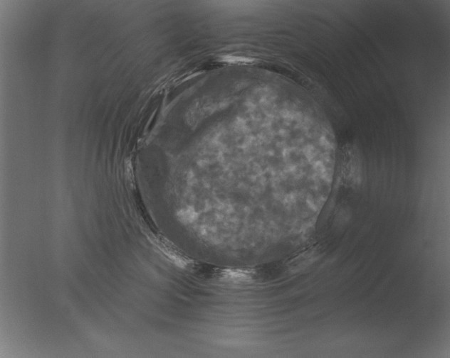 X0000076310573200610201616