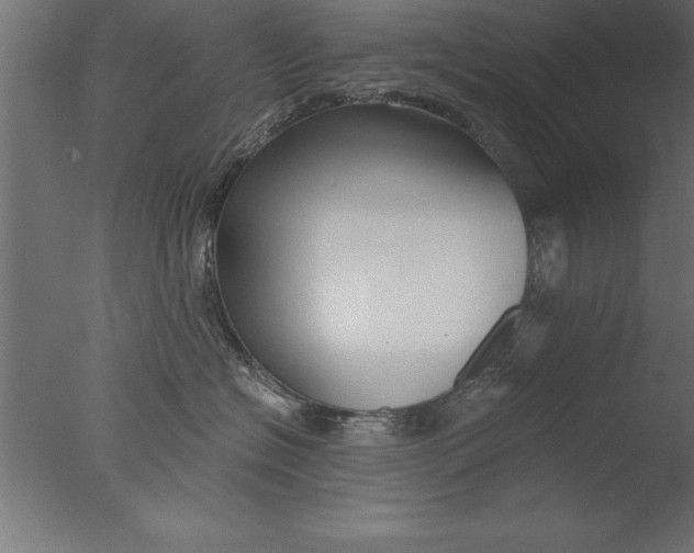 X0000076310574200610201616