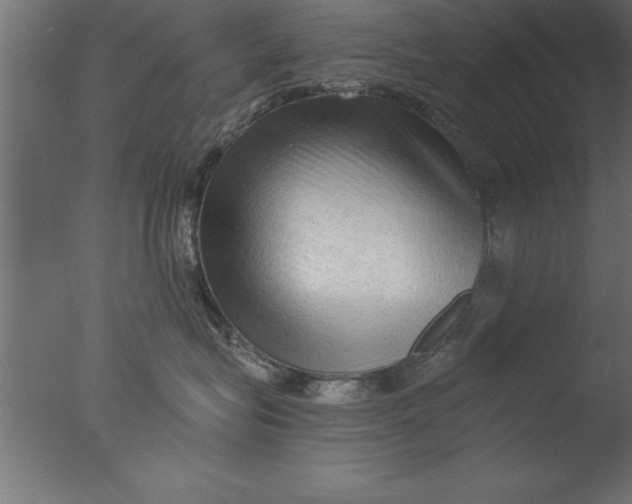 X0000076310575200610201616